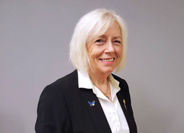 Chestnut Appeal Plymouth